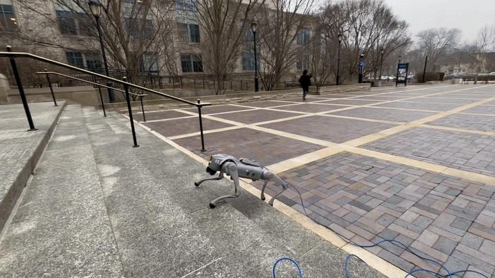 Unitree Go2 RL Locomotion